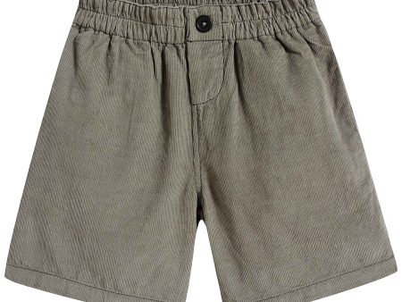 Boys & Girls Light Green Cotton Shorts Discount