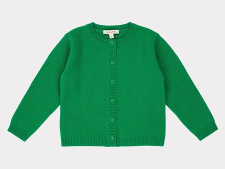 Baby Boys & Girls Emerald Gadwall Cardigan Hot on Sale