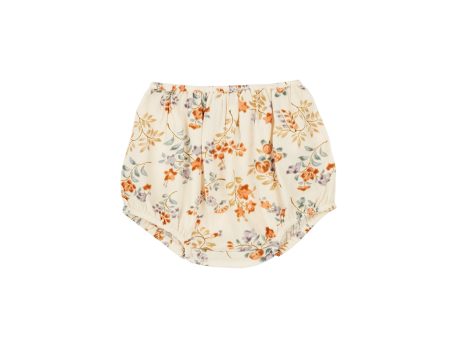 Baby Girls Beige Flowers Bloomers Cheap