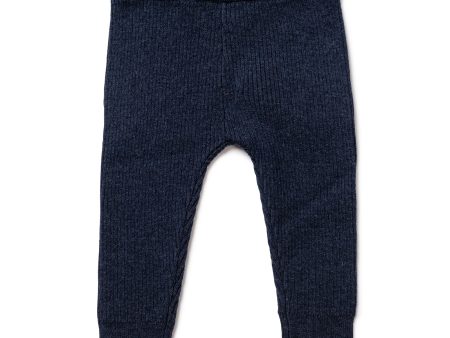 Baby Boys & Girls Blue Leggings Online now