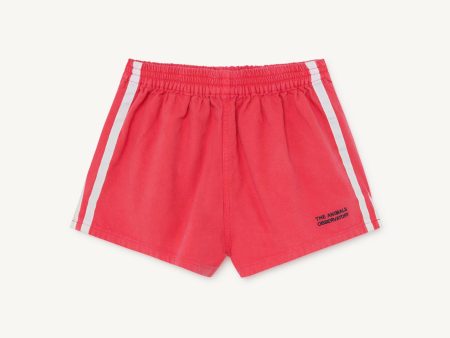 Boys & Girls Red Cotton Shorts Sale