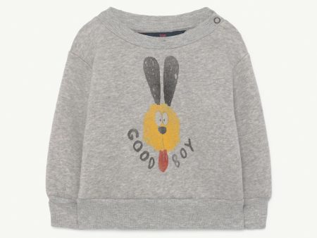 Baby Boys & Girls Grey Heather Dog Print Cotton Sweatshirt For Cheap