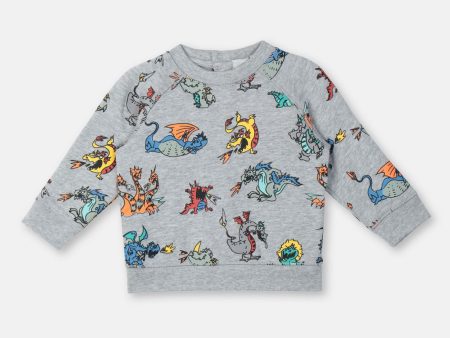 Baby Boys & Girls Grey Printing Cotton Sweater Discount