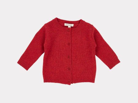 Baby Boys & Girls Berry Guillemot Cardigan Fashion