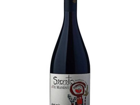 Viu Manent Secreto Pinot Noir 2022 (750ml) For Discount