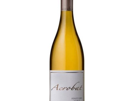 Acrobat - Pinot Gris 2022 (750ml) Fashion